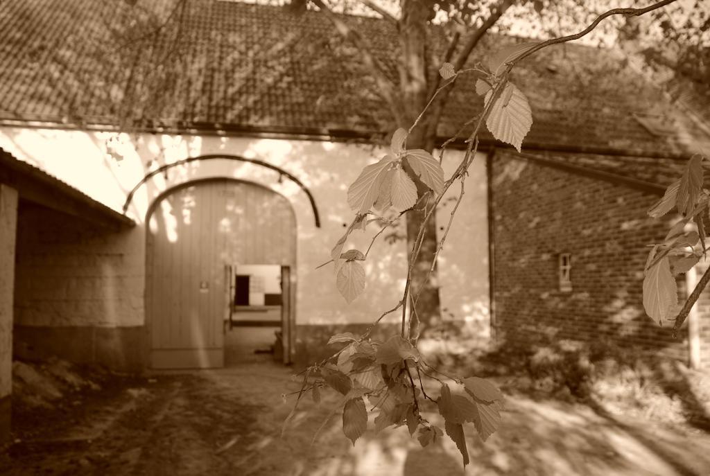B&B De Oude Winning Riemst Extérieur photo