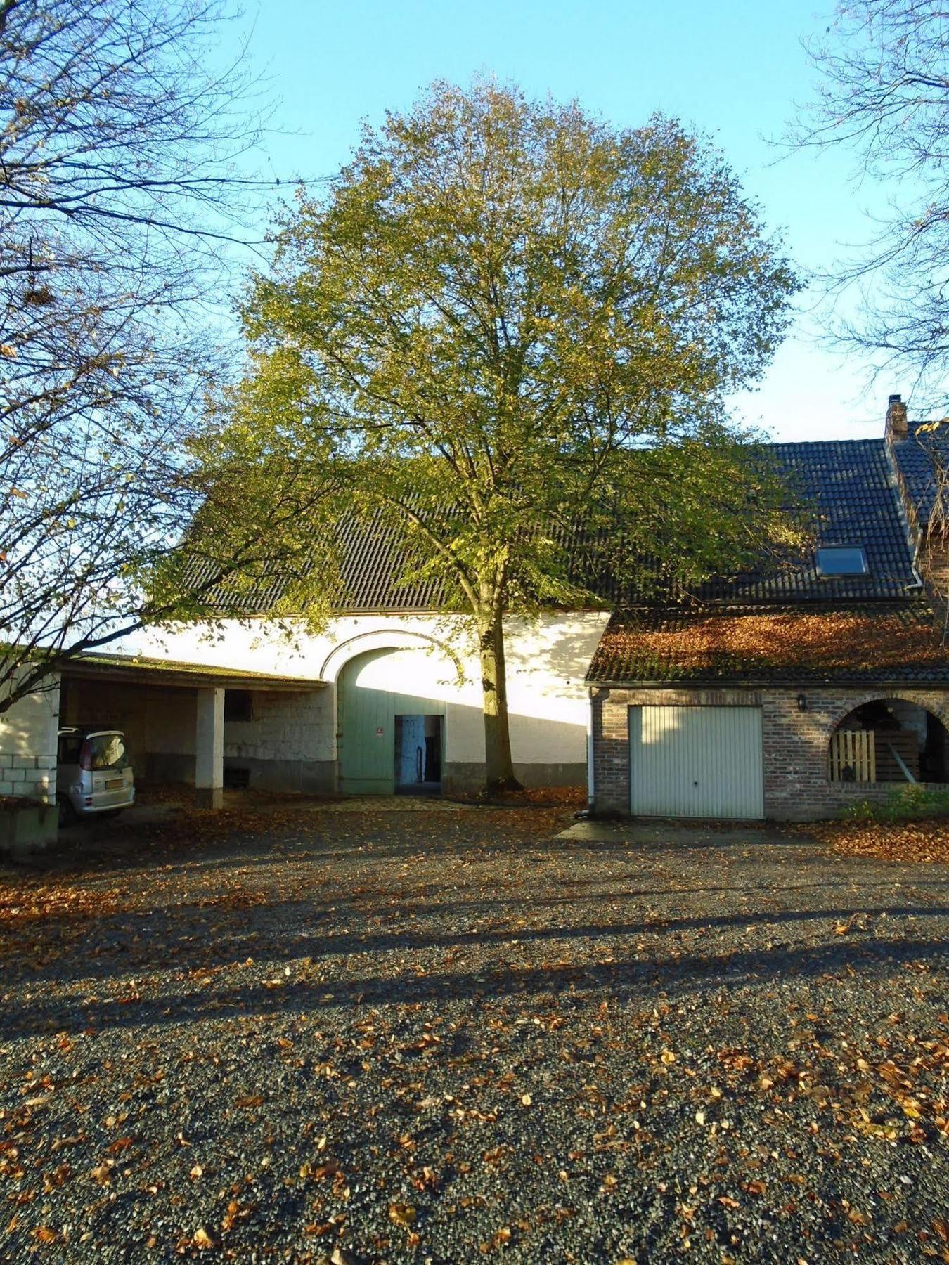 B&B De Oude Winning Riemst Extérieur photo